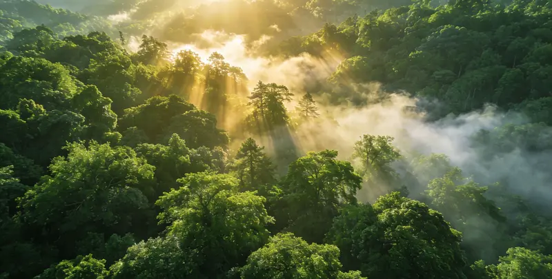 吉林肺癌8基因突变检测（组织）图片1