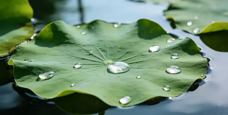 吉林乳腺癌21基因mRNA表达分析图片1