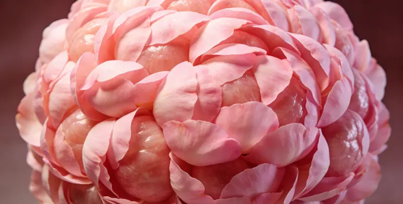 吉林BRCA1/2乳腺癌卵巢癌基因检测图片1