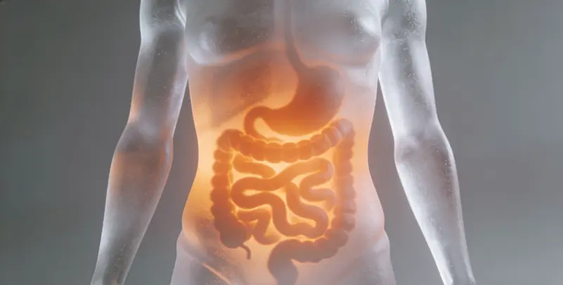 吉林食管癌甲基化检测图片1